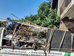 Best Dumpster Rental Services  in Collinsville, AL